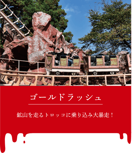 撮影ポイント＿ゴールドラッシュ