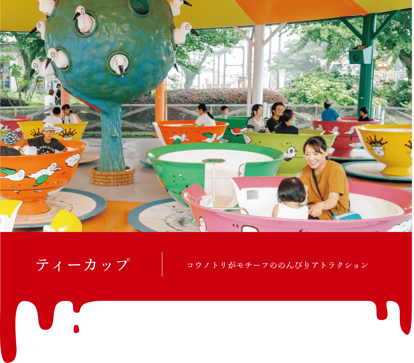撮影ポイント＿ティーカップ