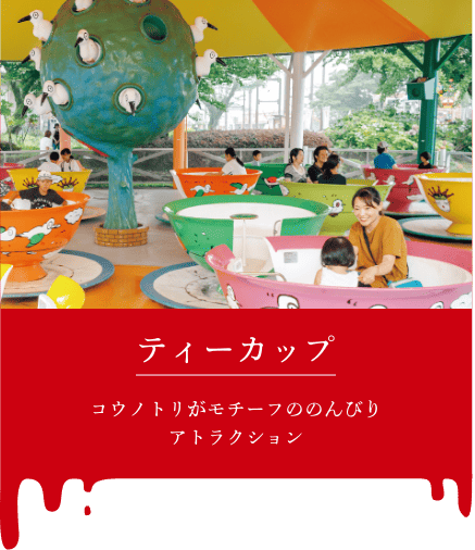 撮影ポイント＿ティーカップ