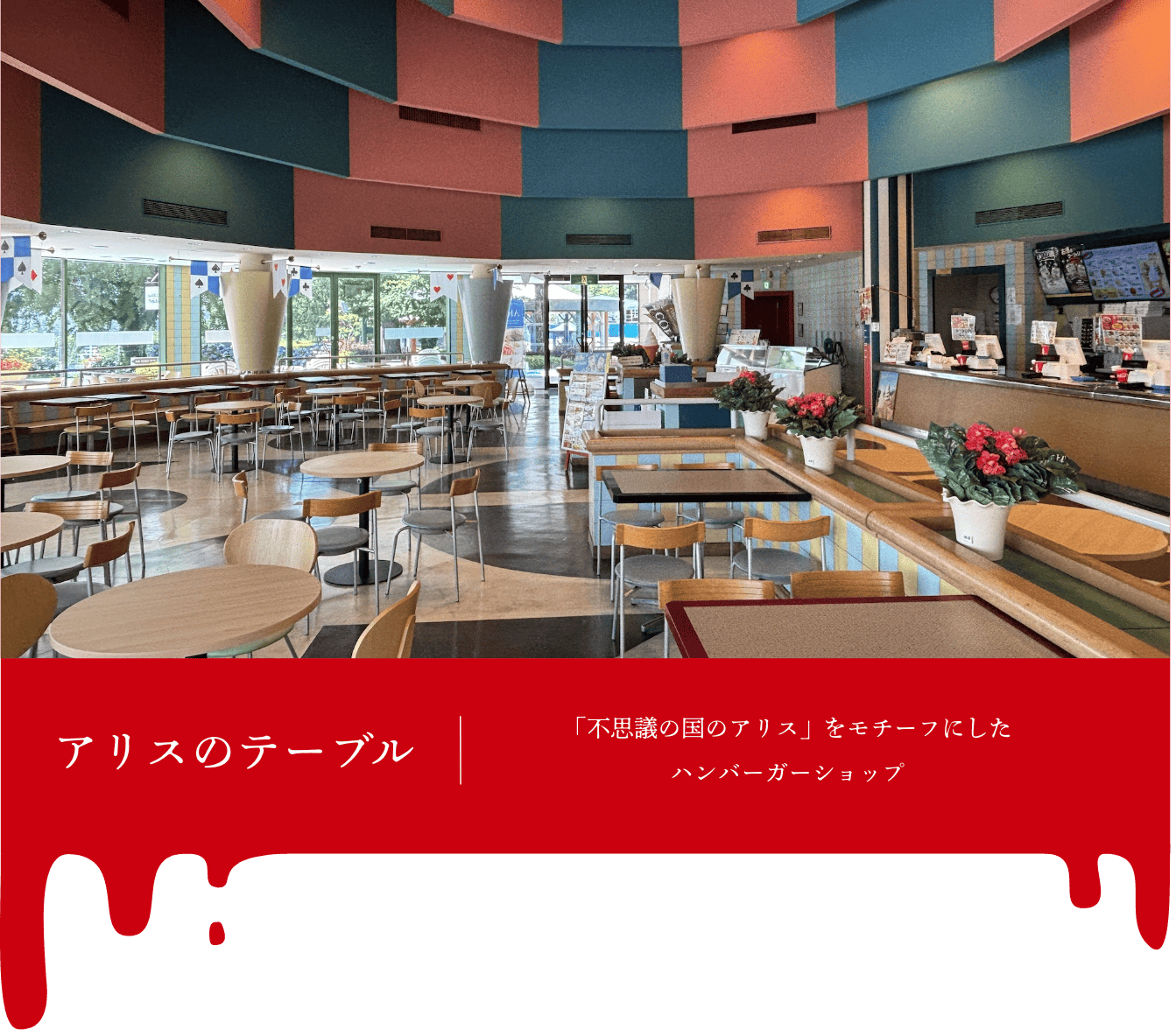 撮影ポイント＿アリスのテーブル