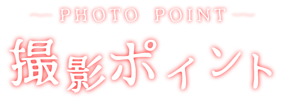 撮影ポイントタイトル