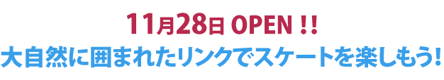 アイススケートシーズン!!