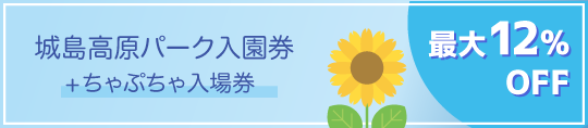城島高原パーク入園券+ちゃぷちゃ入場券